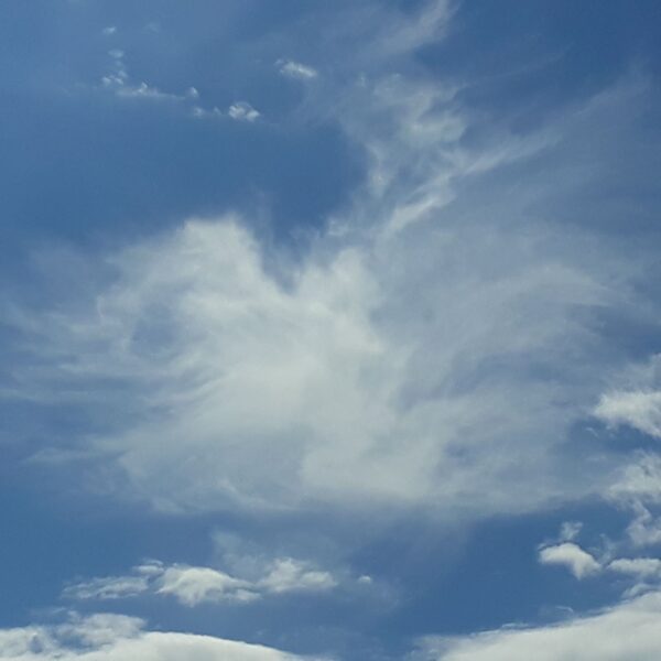 oiseau nuage ciel Conscience et Eveil coach de vie